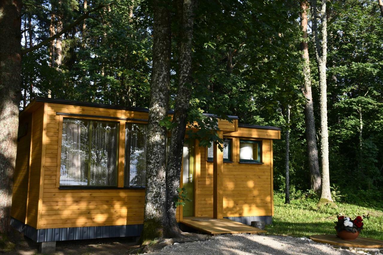 Kempings Ezerpriedes Burtnieki  Exterior photo